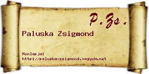 Paluska Zsigmond névjegykártya