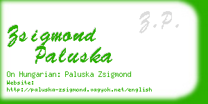 zsigmond paluska business card